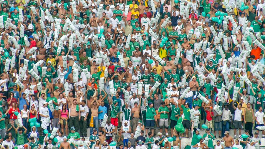 IM足球 APP — 营业执照与资质公示示意配图